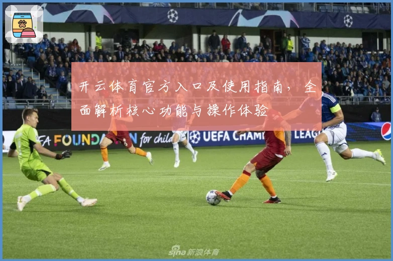 开云体育官方入口及使用指南，全面解析核心功能与操作体验