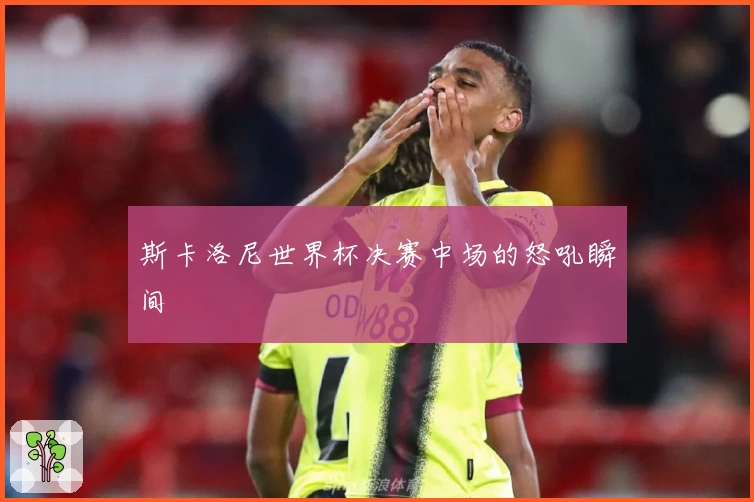 斯卡洛尼世界杯决赛中场的怒吼瞬间