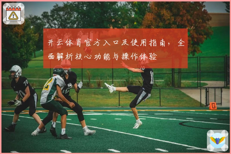 开云体育官方入口及使用指南,全面解析核心功能与操作体验