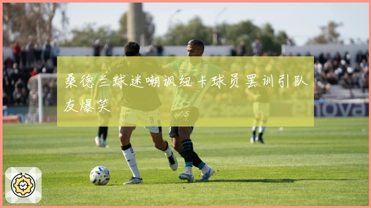 桑德兰球迷嘲讽纽卡球员罢训引队友爆笑